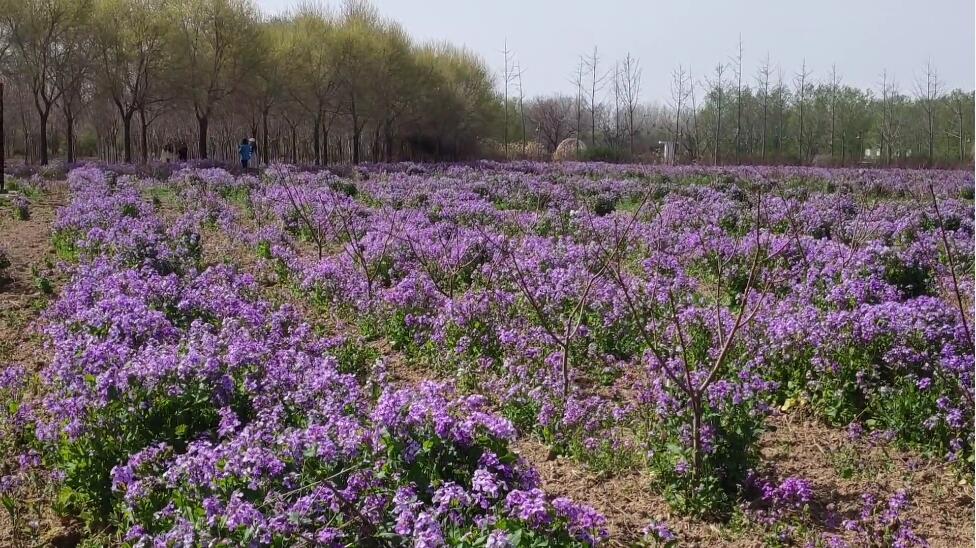 河南商丘景区好人主题公园景点介绍1