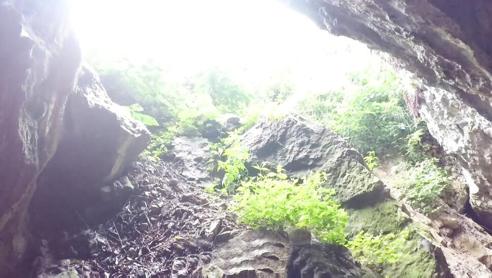 河南南阳景区宝天曼豹子洞景点介绍1