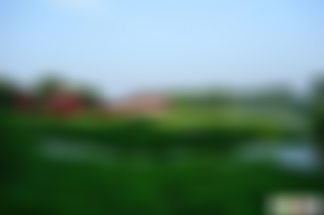 河南信阳景区两河口国家湿地公园景点介绍1