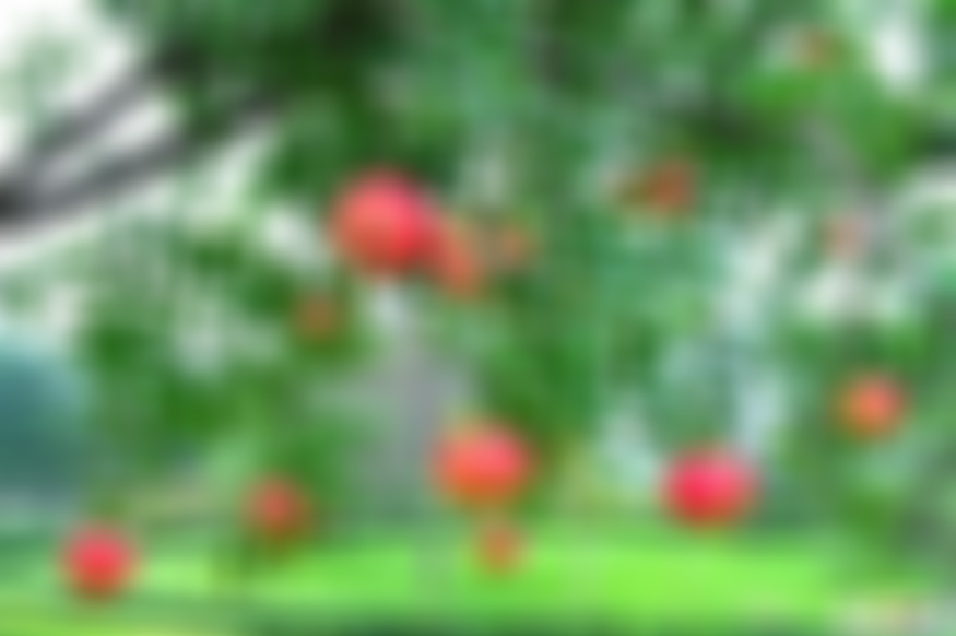 河南焦作景区焦作影视城圣佛寺景点介绍1