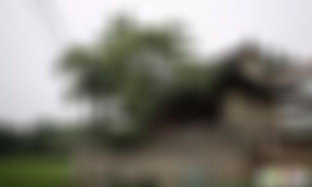 河南南阳景区凤山植物园景点介绍1