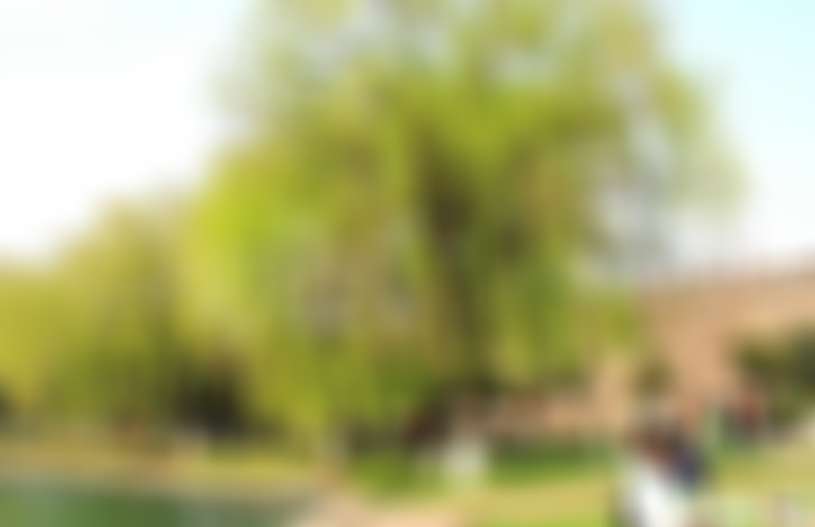 河南许昌景区古城公园景点介绍1