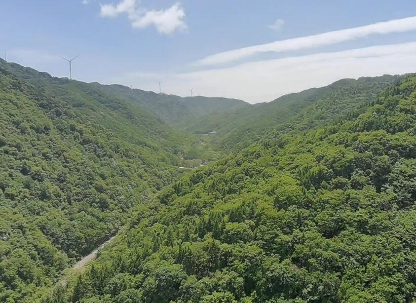 河南三门峡景区白龙庙原始森林景点介绍1