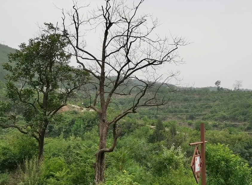 河南焦作景区爱情公园景点介绍1