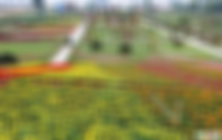 河南新乡景区北田庄植物园景点介绍1