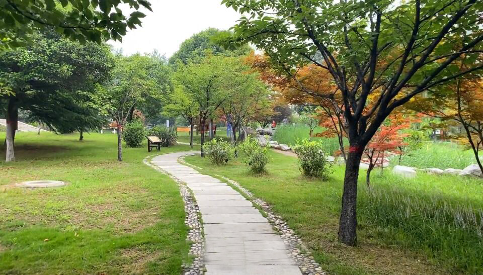 河南商丘景区画虎第一村景点介绍1