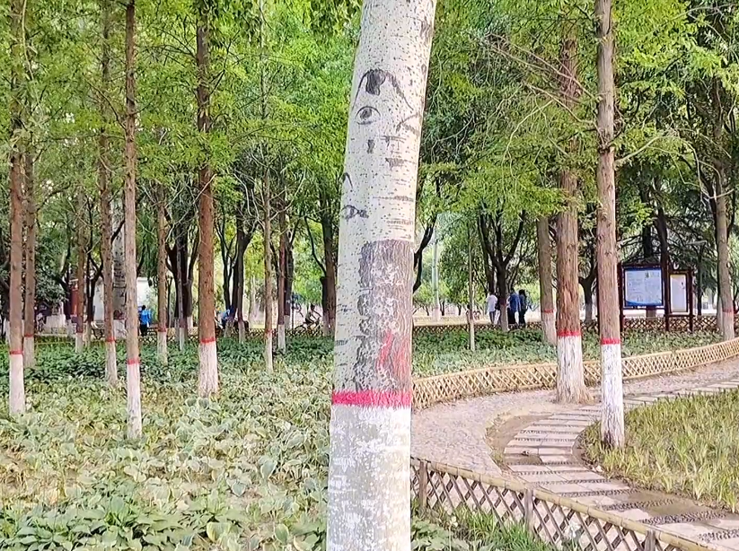 河南濮阳景区新蕾公园景点介绍1