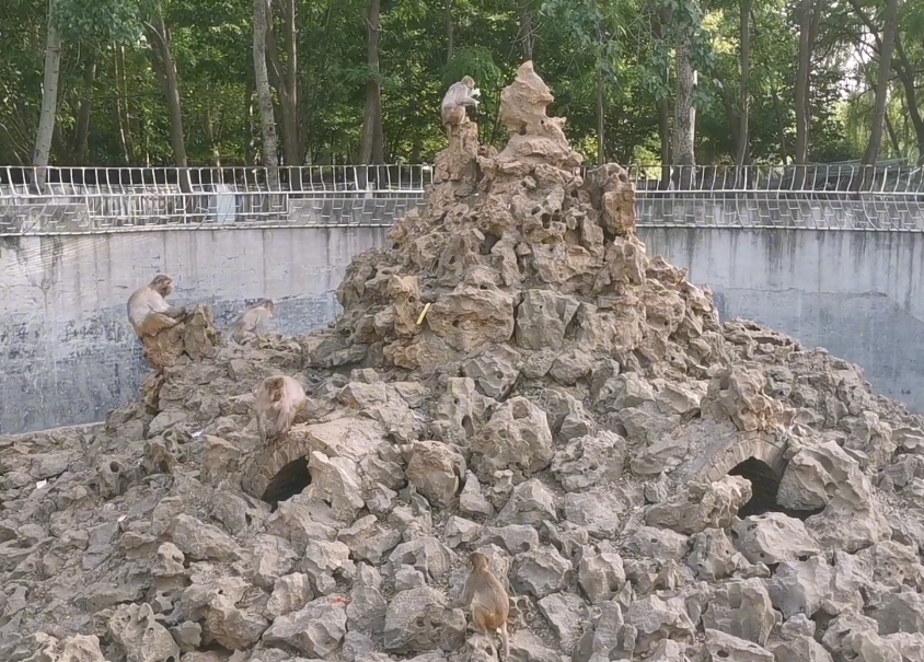 河南濮阳景区中心动物园景点介绍1