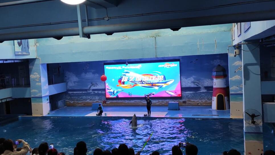 河南驻马店景区森林公园水上乐园景点介绍1