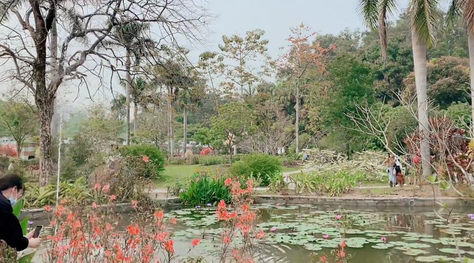 河南南阳景区泓森植物园景点介绍1