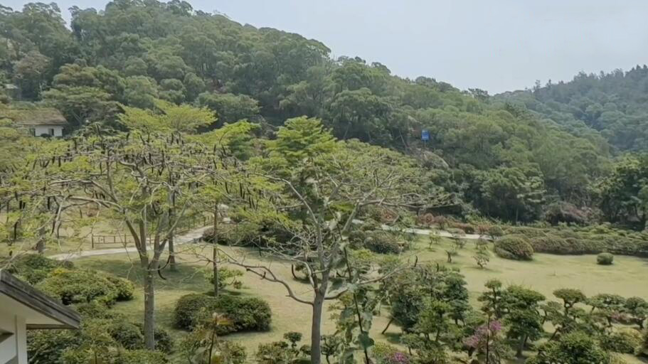 河南鹤壁景区黄庙沟森林公园景点介绍1