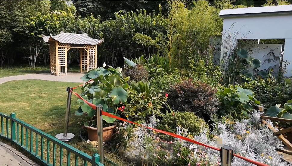 河南郑州景区紫荆山公园景点介绍1