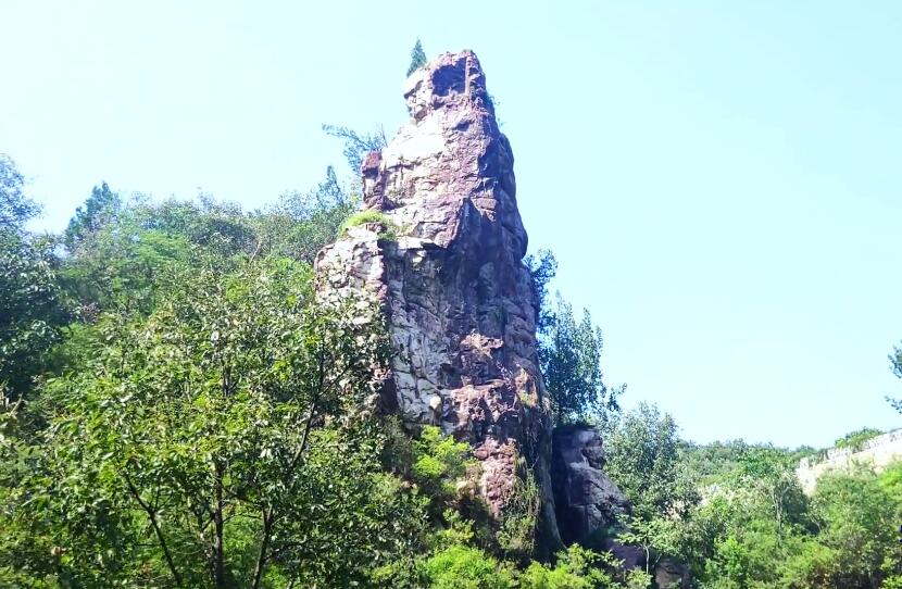 河南郑州景区金鹭鸵鸟游乐园景点介绍1