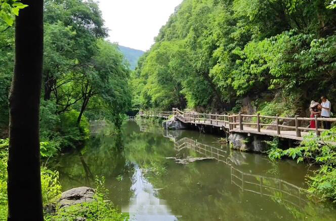 河南三门峡景区燕子山森林公园景点介绍1