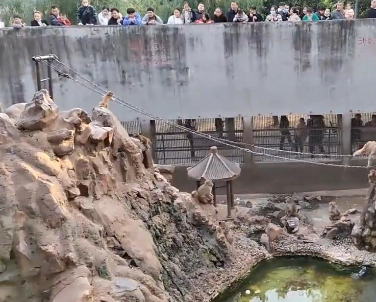 河南洛阳景区王城动物园景点介绍1