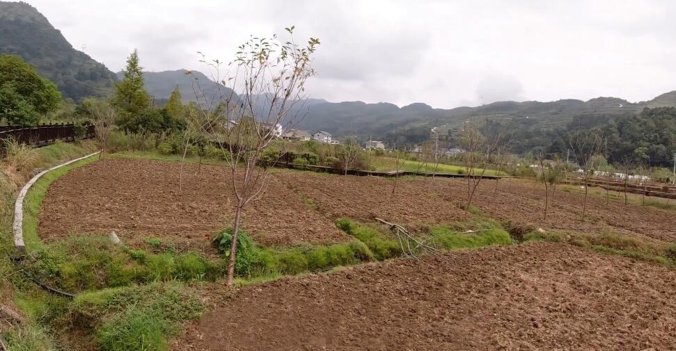 河南郑州景区郑信公园景点介绍1