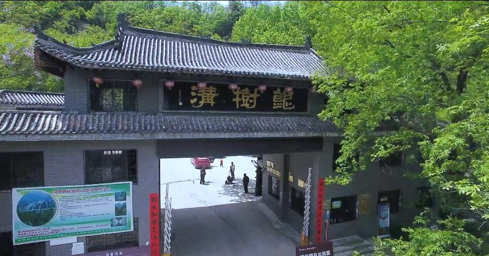河南洛阳景区云岩寺景点介绍1