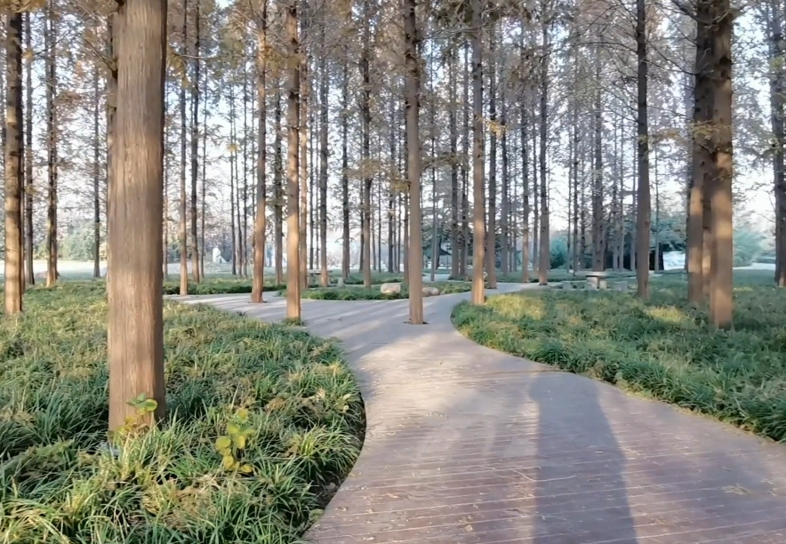 河南濮阳景区中原绿色庄园景点介绍2