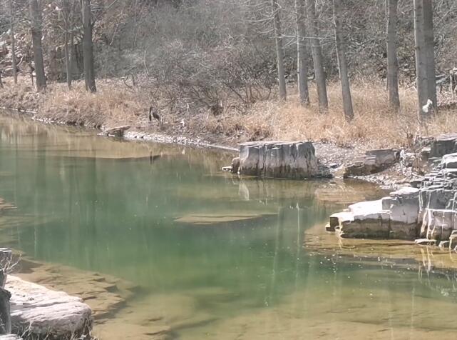 河南洛阳景区龙泉寺景点介绍1