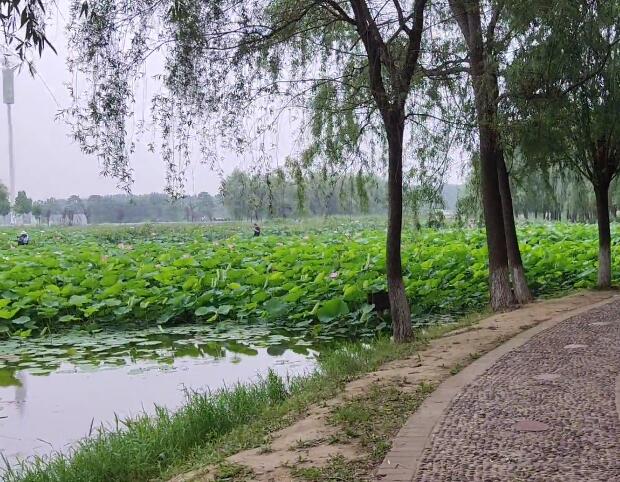 河南郑州景区官渡古战场景点介绍1