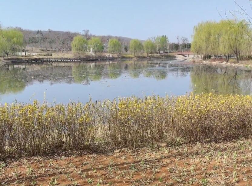 河南焦作景区金山寺景点介绍1