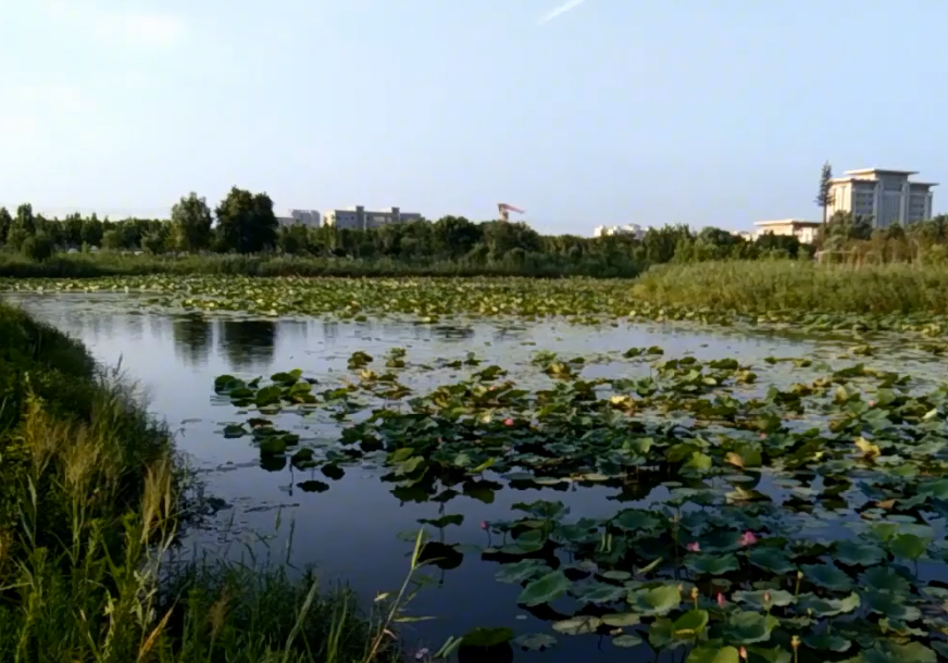 河南郑州景区黄帝故里景点介绍1