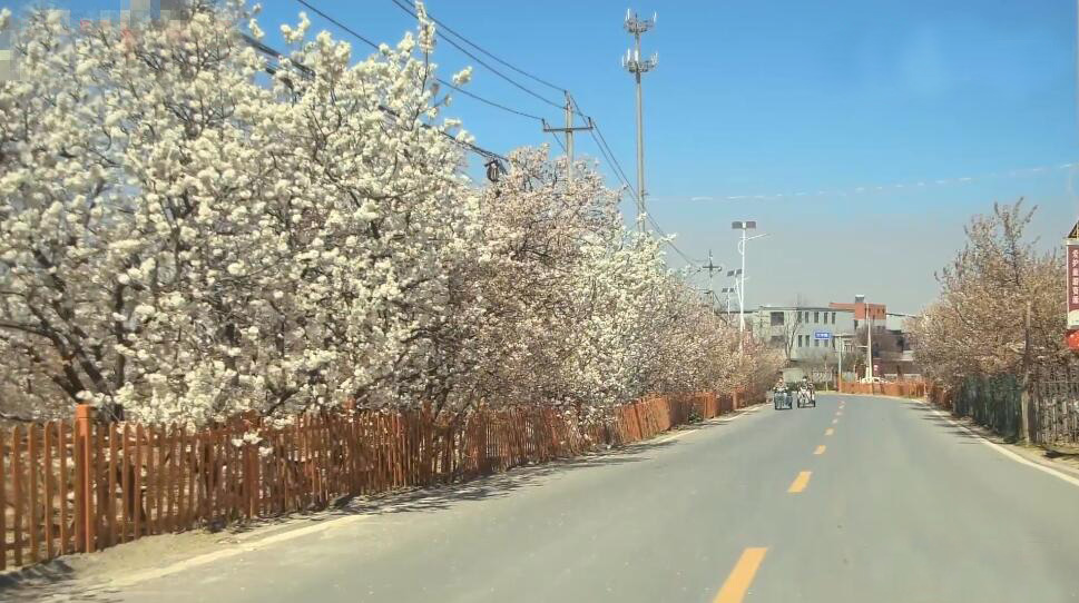 河南郑州景区樱桃沟风景区景点介绍1