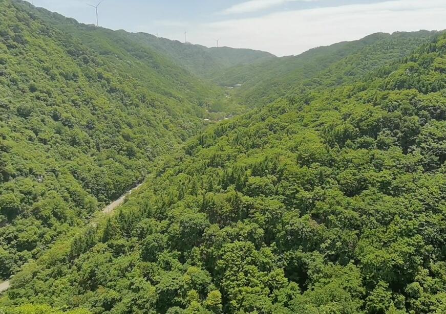 河南三门峡景区甘山国家森林公园景点介绍1