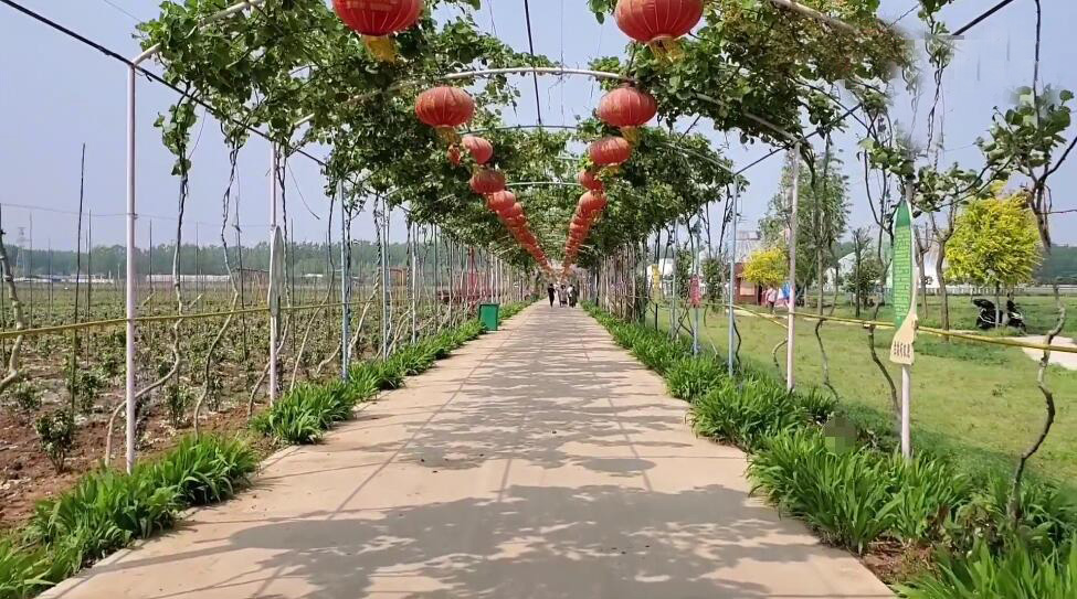 河南平顶山景区全佛寺景点介绍1