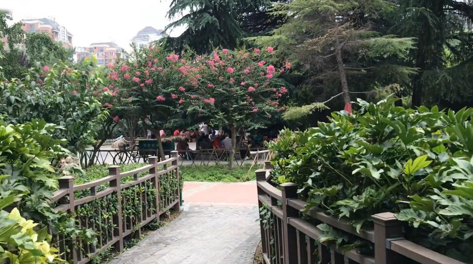 河南信阳景区龙湖公园景点介绍1