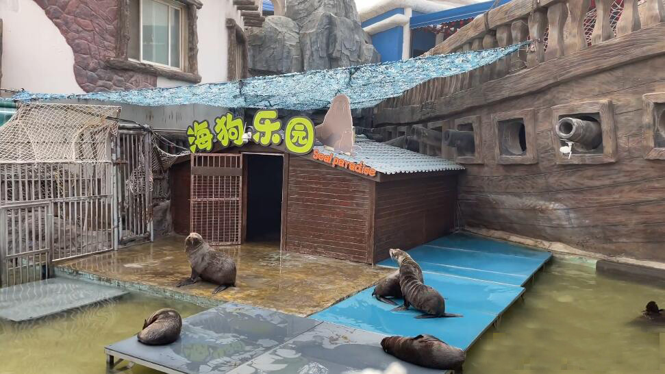 河南郑州景区郑州海洋馆景点介绍1