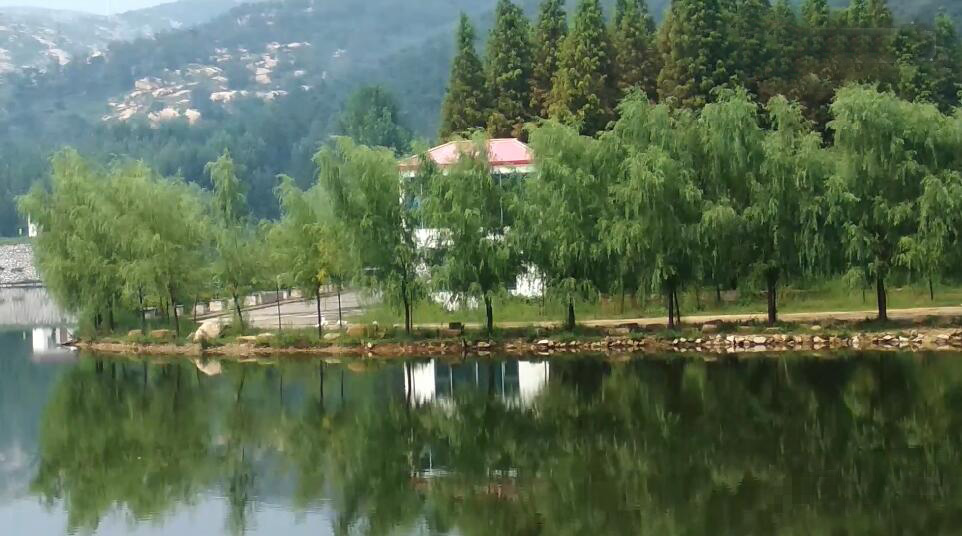 河南南阳景区紫灵山森林公园景点介绍1