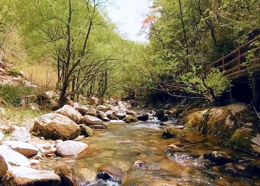 河南商丘景区艾墨菲海底世界景点介绍1