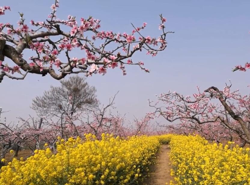 河南鹤壁景区南山森林公园景点介绍1