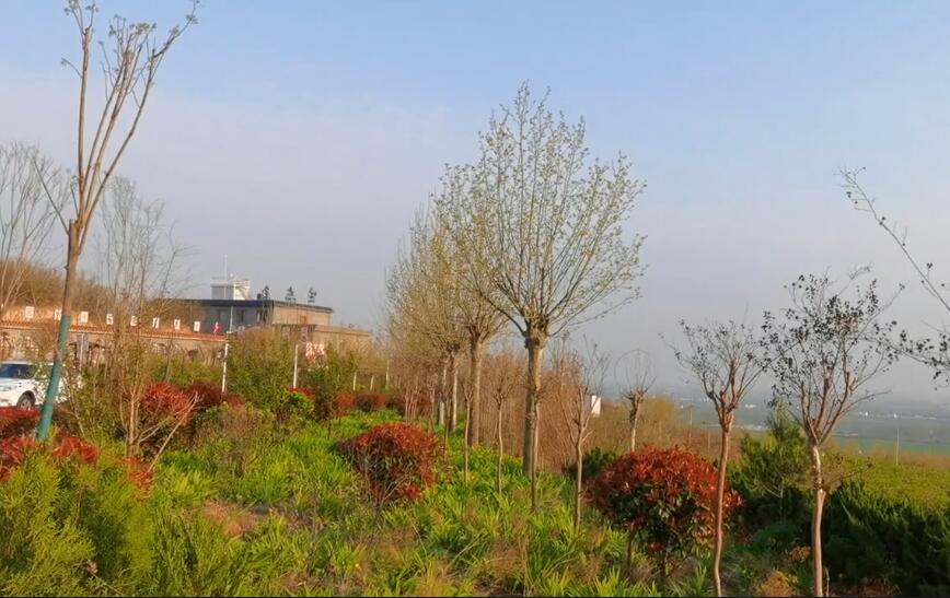 河南鹤壁景区象山生态园景点介绍1