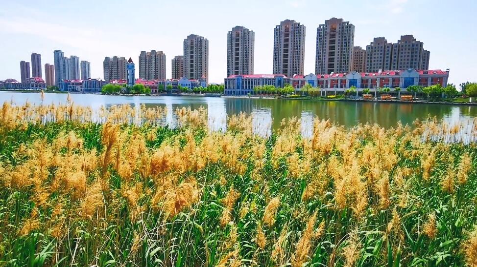 河南濮阳景区明月湖公园景点介绍1