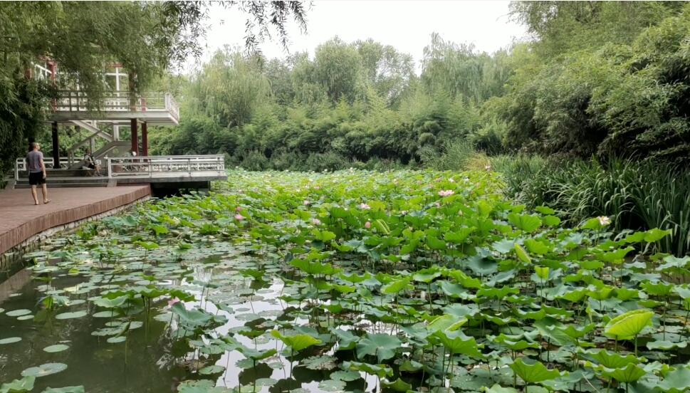 河南平顶山景区平顶山河滨公园景点介绍1