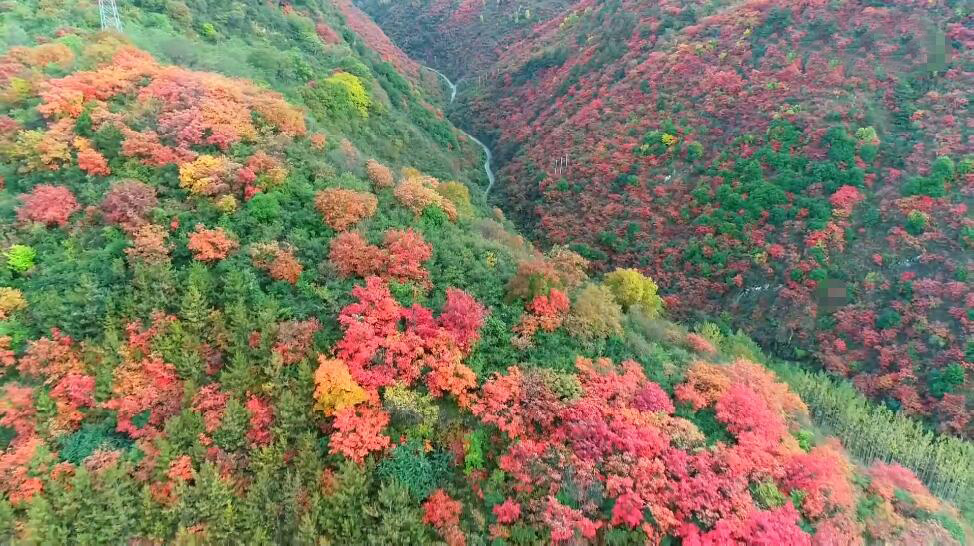 河南安阳景区扁担精神纪念馆景点介绍1