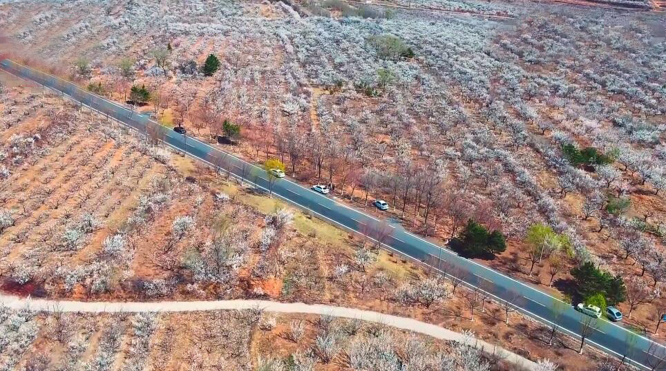 河南郑州景区郑风苑景区景点介绍1
