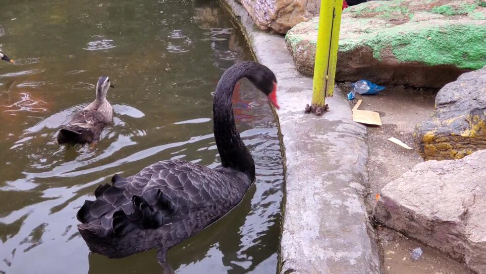 河南郑州景区密县县衙景点介绍1