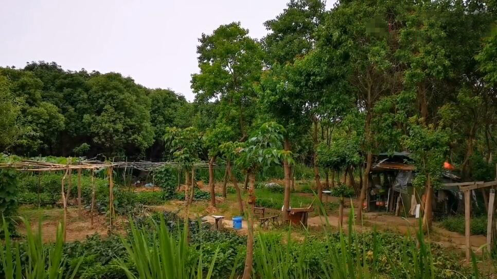 河南驻马店景区千年岭农耕文化公园景点介绍1