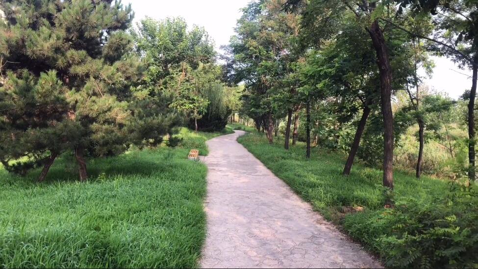 河南周口景区吉祥湖夜跑公园景点介绍1