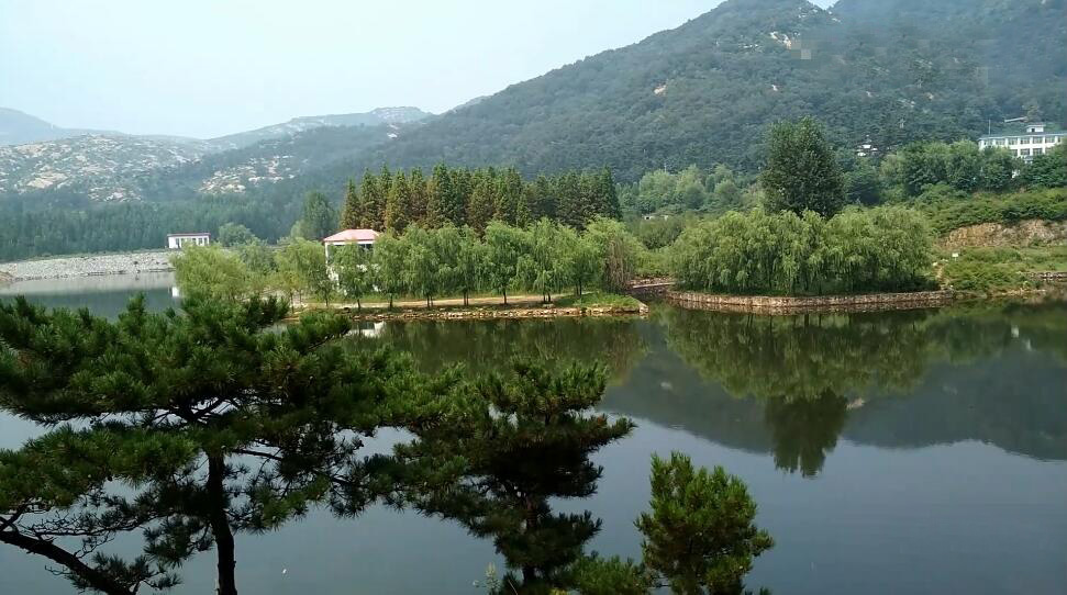 河南南阳景区桃花洞原始森林景点介绍1