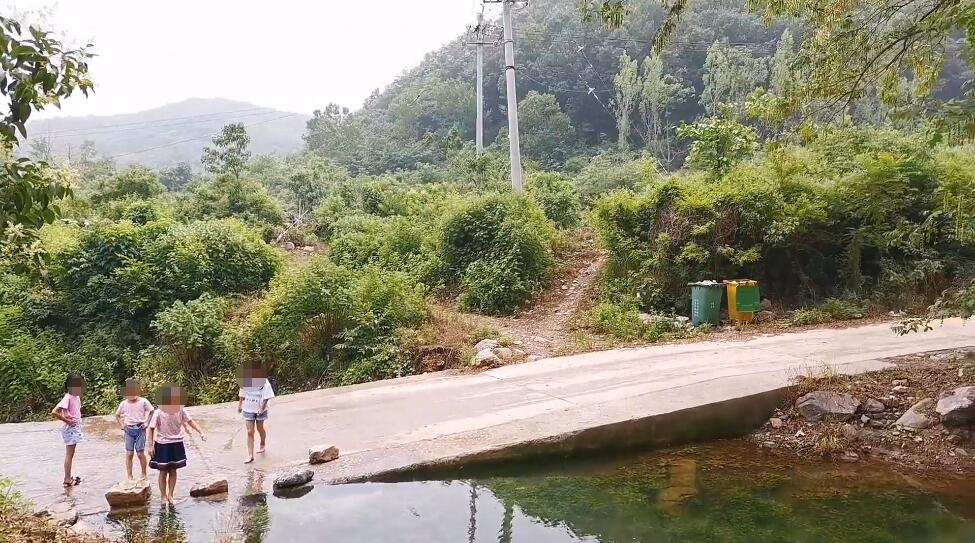 河南驻马店景区凤鸣谷森林公园景点介绍1