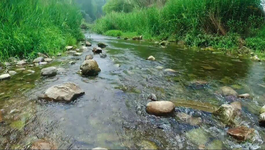 河南鹤壁景区淇河湿地公园景点介绍1