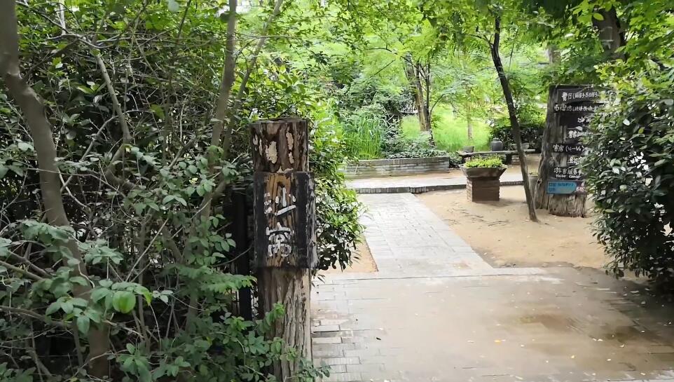 河南焦作景区源沟村景点介绍1