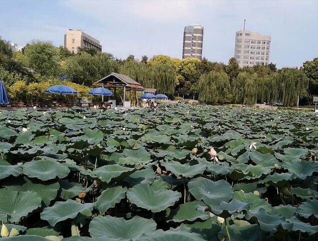 河南三门峡景区高阳山温泉度假区景点介绍1