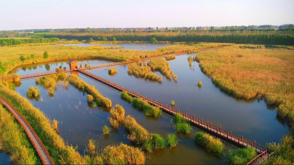 河南周口景区中华槐园景点介绍1