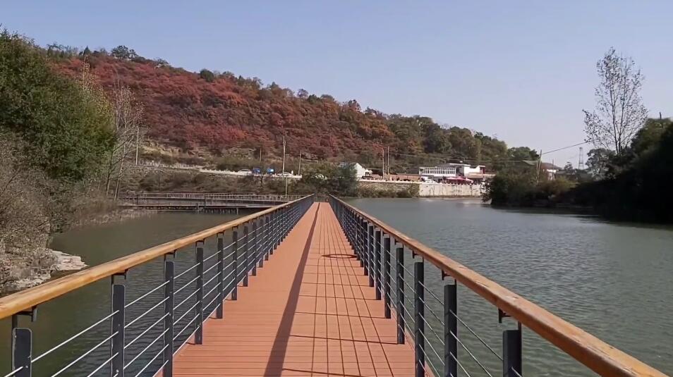 河南焦作景区焦作森林动物园景点介绍1