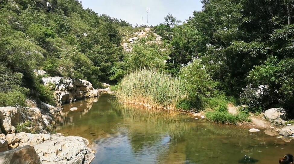 河南新乡景区定国禅寺景点介绍1